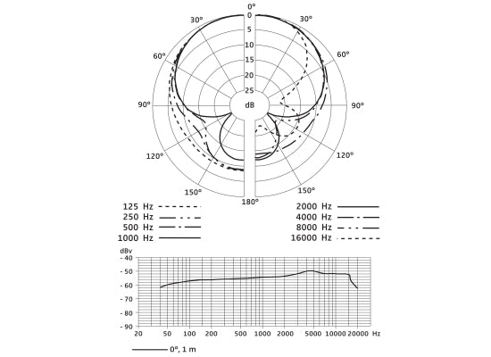Sennheiser E 845 S Mikrofon