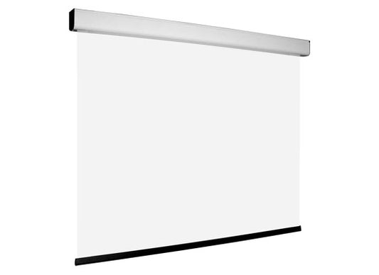 Leinwand mit Motor, 305x172cm